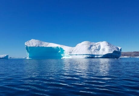 JCDecaux Now Reports Climate Impact per Advertising Campaign